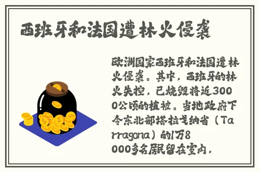 片多多污
